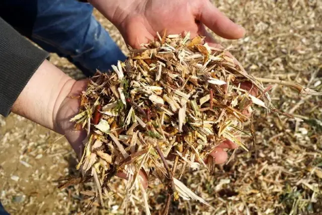 Le Paillage Organique : La solution naturelle pour un jardin sain et fertile